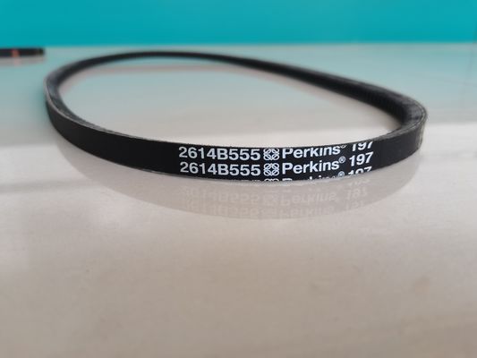Kundengebundener Perkins Engine Parts PVC-Keilriemen 981-209 2614B555