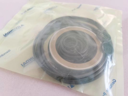 Hydraulikbagger Seal Kit Customized XKAY-00553 R210LC-7 R160LC-7
