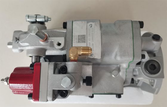 Dauerhafte Dieseleinspritzungs-Pumpe fertigte 3019487 ES34A01 457798 besonders an