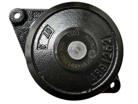 Wasser-Pumpe der Kühlmittel-Pumpen-4891252 des Dieselmotor-QSB6.7 3800984