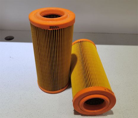 Hohe Qualität Automobilmotor Einlassluftfilterelement 2175291