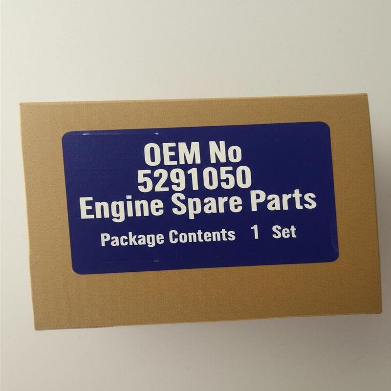 OEM-Nr. 5291050 Motor Ersatzteilpaket Inhalt 1 Satz